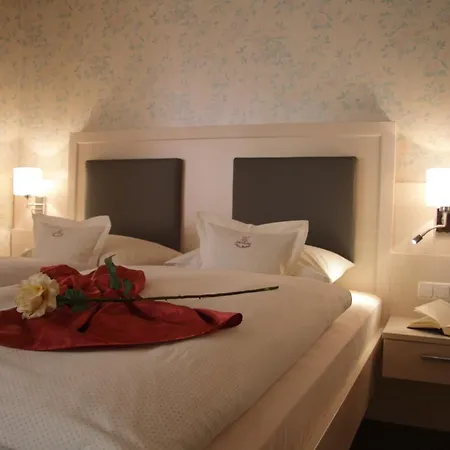 Rhoenhotel Alte Muehle 3*