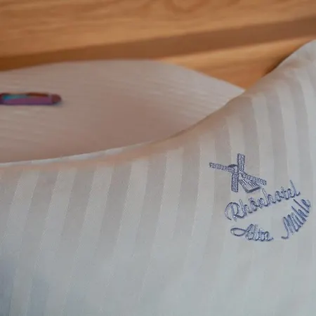 Rhoenhotel Alte Muehle מלון Ebersburg