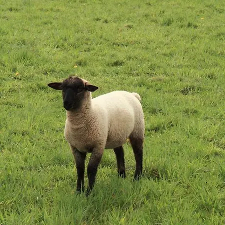 Rhoenhotel Alte Muehle מלון 3*