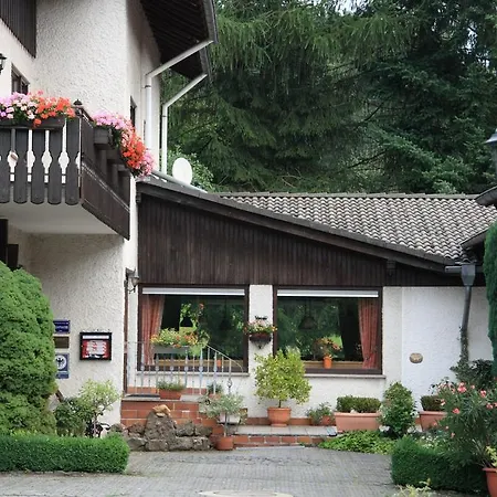 Rhoenhotel Alte Muehle Hotel 3*