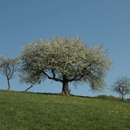 Rhoenhotel Alte Muehle