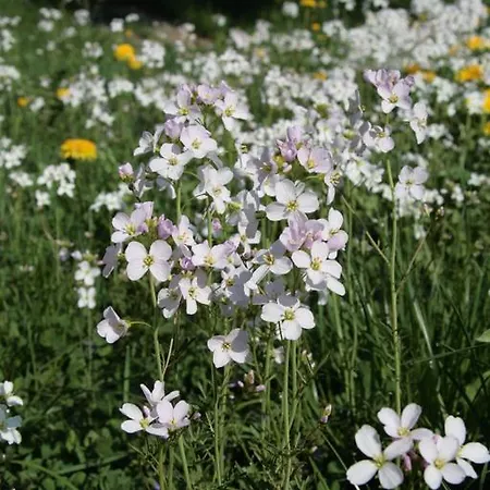 מלון Rhoenhotel Alte Muehle