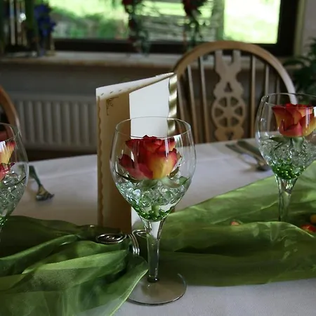 Rhoenhotel Alte Muehle מלון 3*