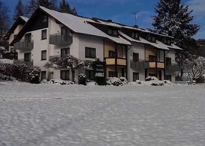 Rhoenhotel Alte Muehle 3* Ebersburg