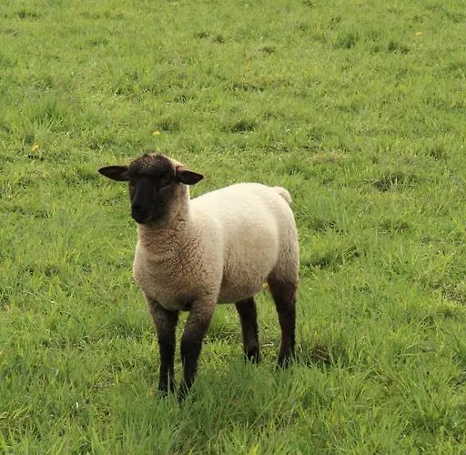 Rhoenhotel Alte Muehle Hotel 3*