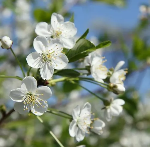 Hotel Rhoenhotel Alte Muehle
