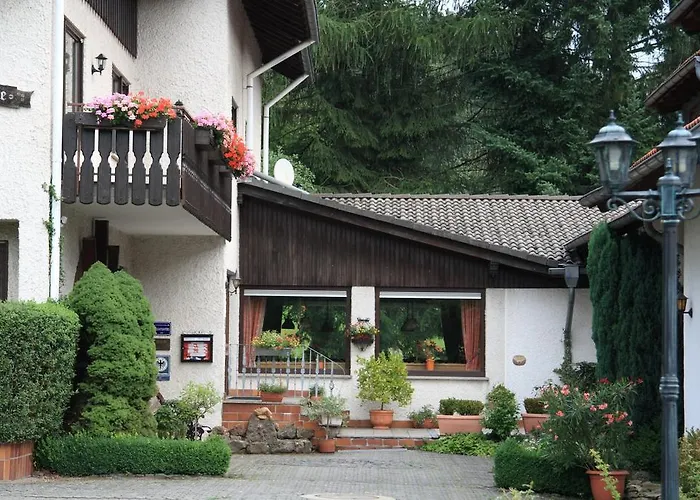 Rhoenhotel Alte Muehle Hotel 3*