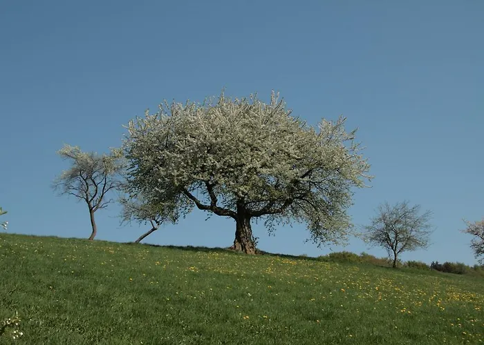 Rhoenhotel Alte Muehle