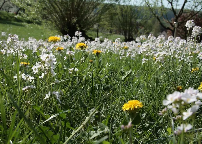 Hotel Rhoenhotel Alte Muehle Ebersburg