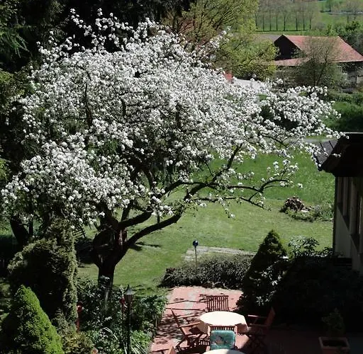 Rhoenhotel Alte Muehle Ebersburg