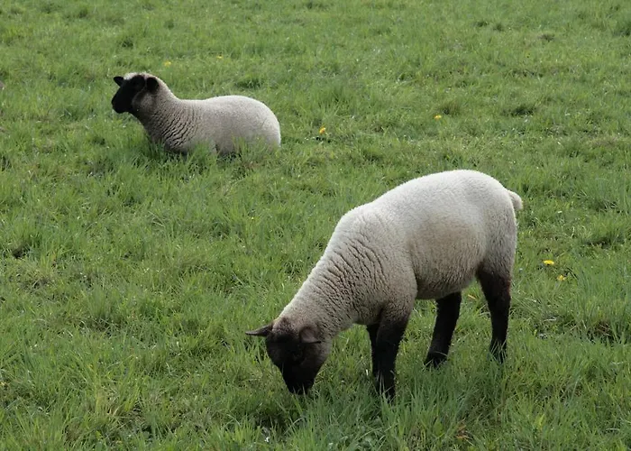 Rhoenhotel Alte Muehle Hotel Ebersburg