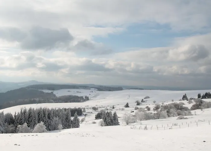 Hotel Rhoenhotel Alte Muehle Ebersburg